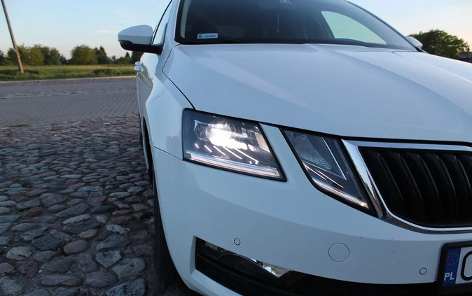 Skoda Octavia cena 73900 przebieg: 79400, rok produkcji 2019 z Świecie małe 301